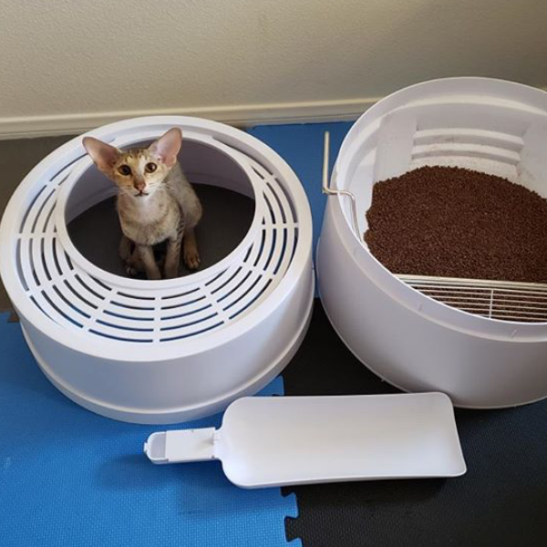 The 6 Second Litter Box Boxscoop Designs Inc