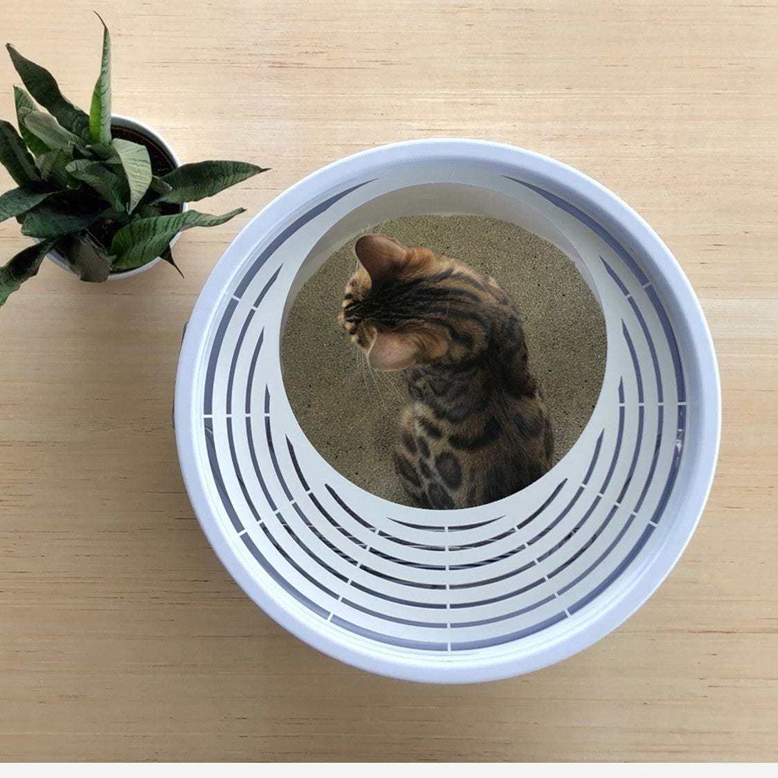 Boxscoop 2.0 The 6second Cat Litter Box Boxscoop Designs Inc.