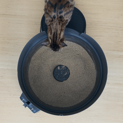  Fox Run Cute Cat Little Kittens Ceramic Measuring