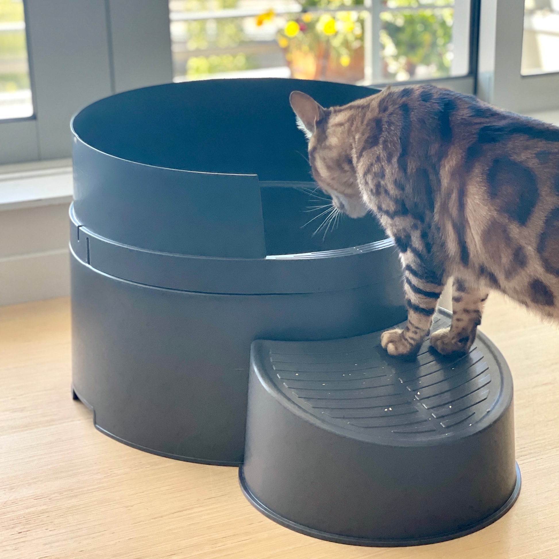 Litter Enclosure Round Litter Boxes For Cats Good Pet Stuff Hidden
