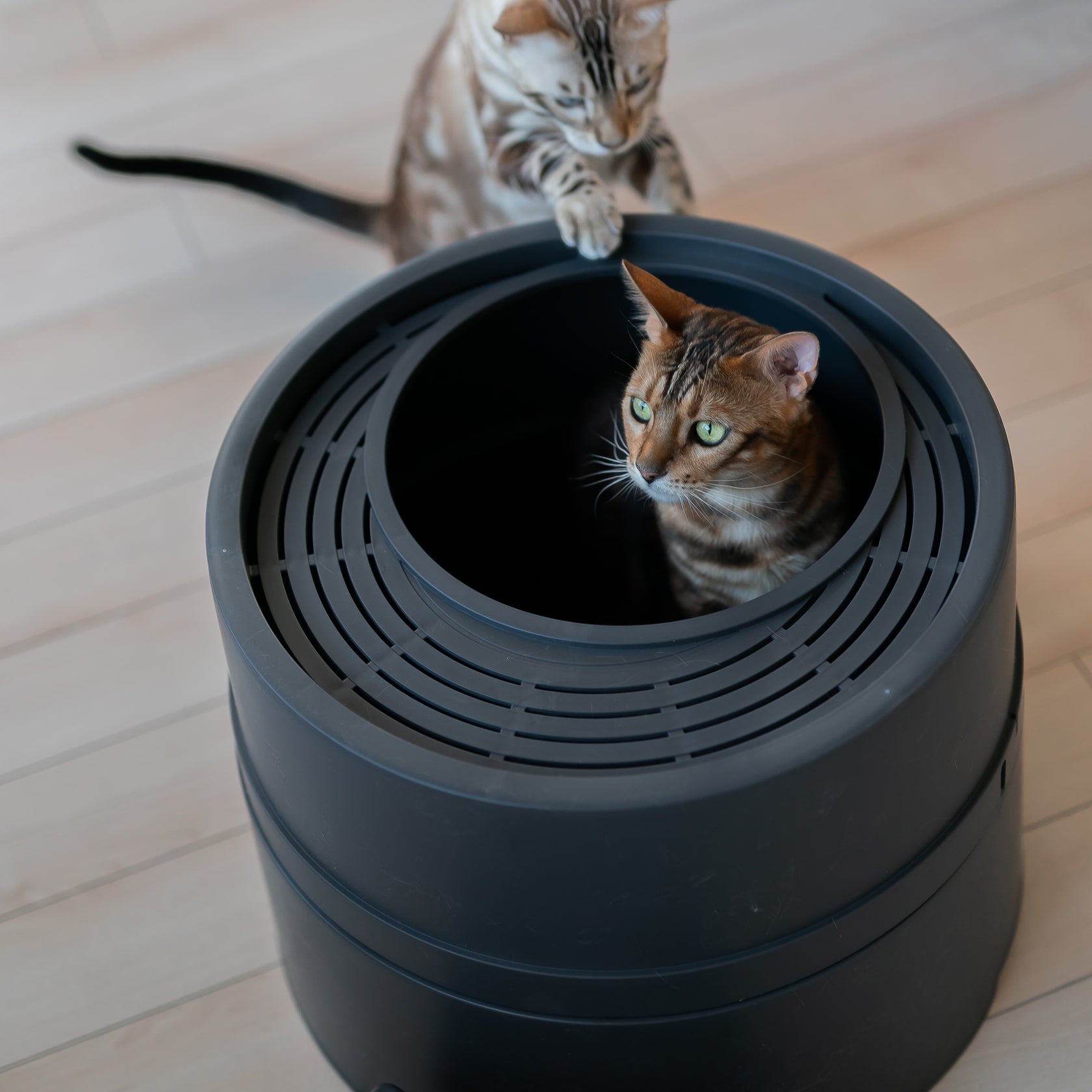 Boxscoop 2.0 The 6second Cat Litter Box Boxscoop Designs Inc.